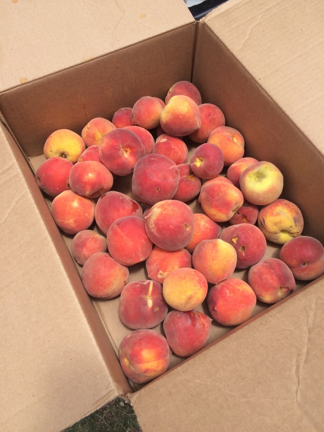 Peaches Box